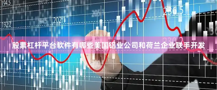 股票杠杆平台软件有哪些美国铝业公司和荷兰企业联手开发