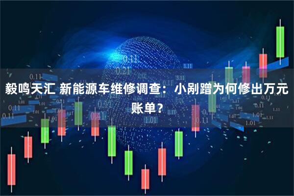 毅鸣天汇 新能源车维修调查：小剐蹭为何修出万元账单？
